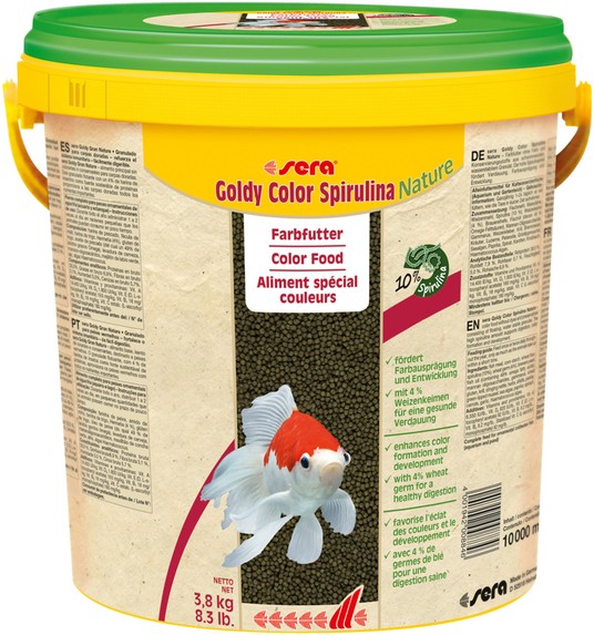 Изображение на странице