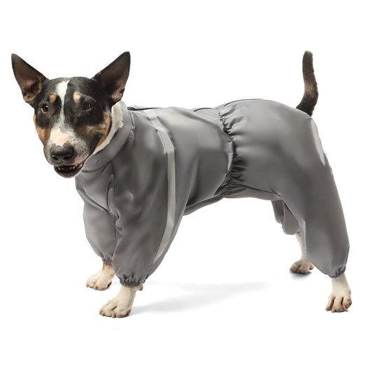 Изображение на странице