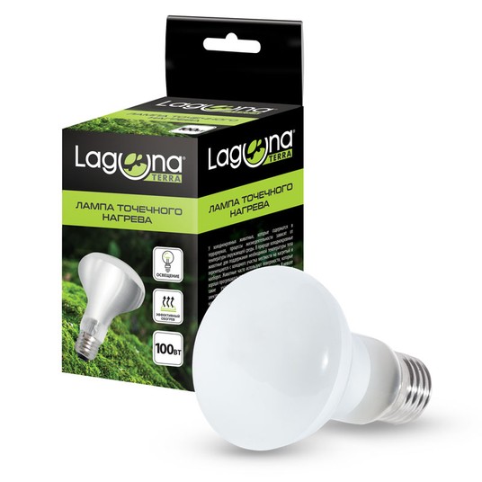 Изображение на странице