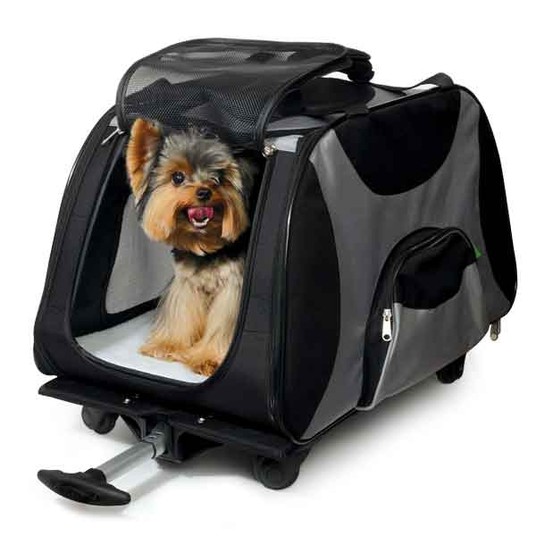 Изображение на странице