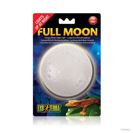 Изображение на странице