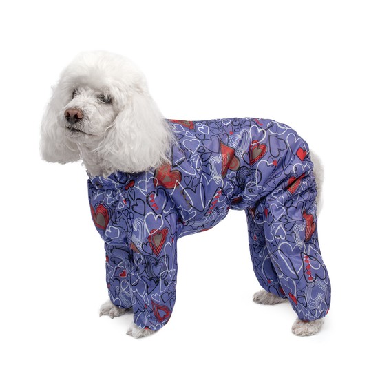 Изображение на странице