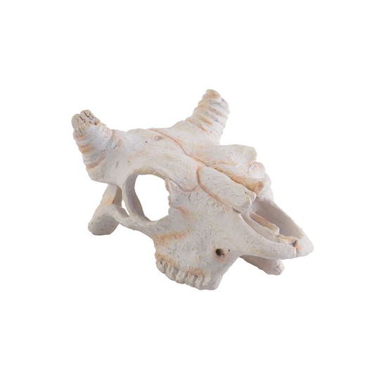 Изображение на странице