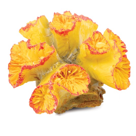 Изображение на странице