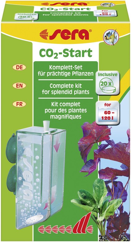 Изображение на странице