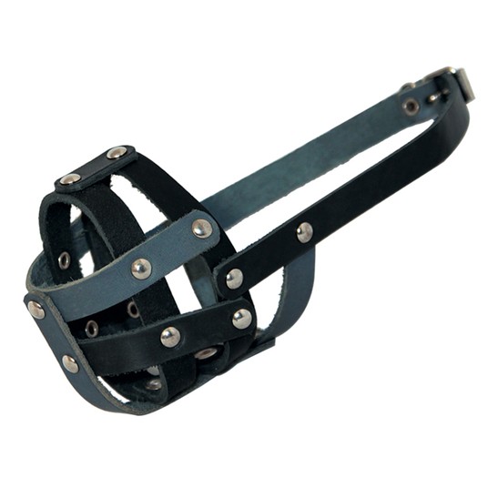 Изображение на странице