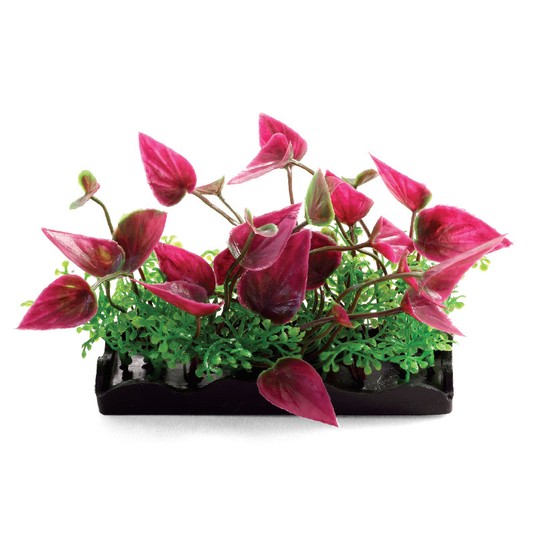 Изображение на странице