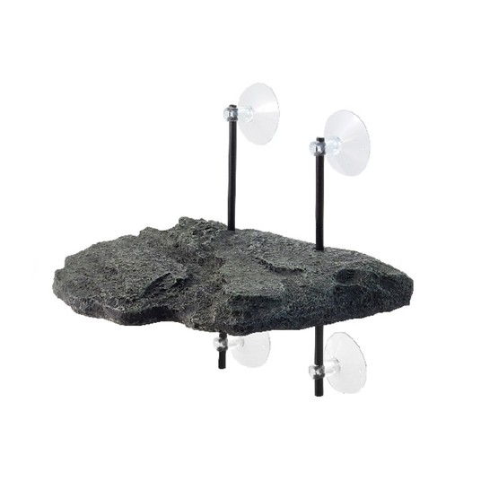 Изображение на странице