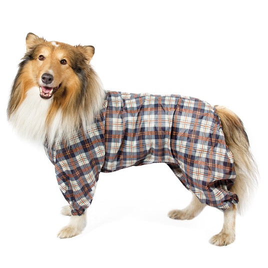 Изображение на странице