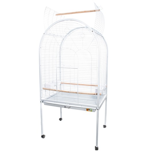 Изображение на странице