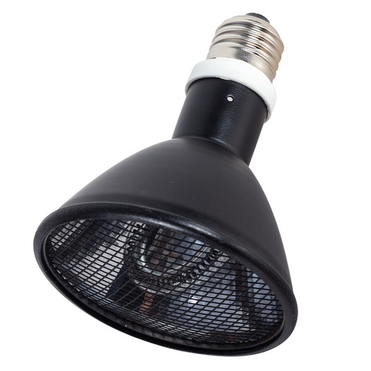 Изображение на странице