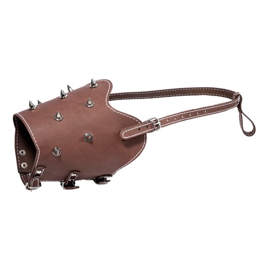 Изображение на странице