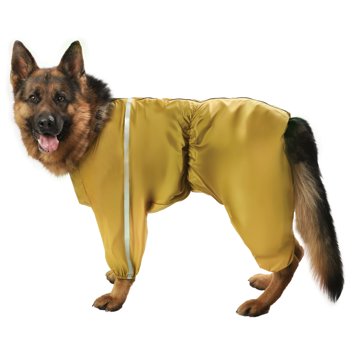 Изображение на странице