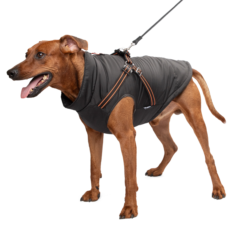 Жилет со шлейкой "Спорт" 2XL, 49*62см 5