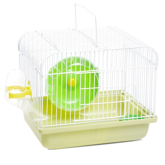 Изображение на странице