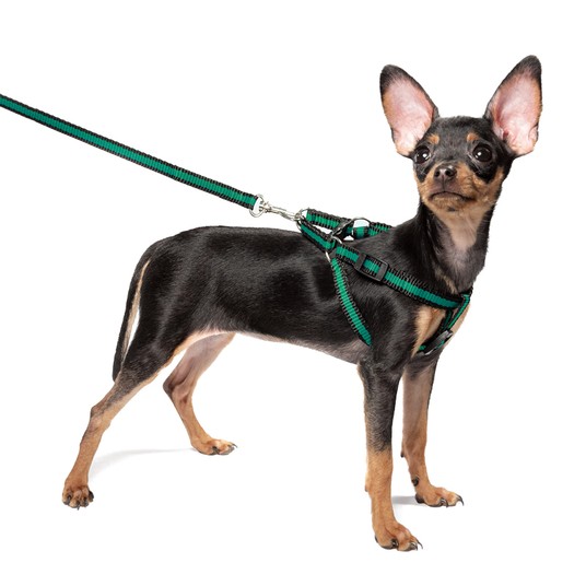 Изображение на странице