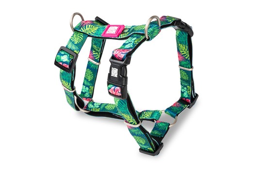 Изображение на странице