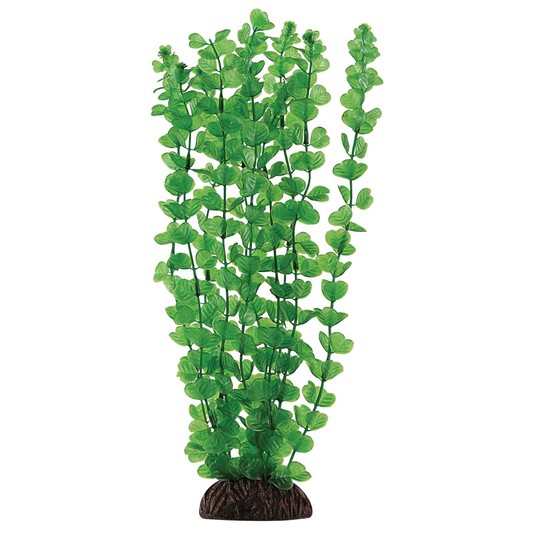 Изображение на странице