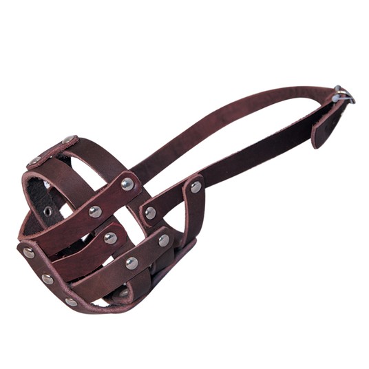 Изображение на странице