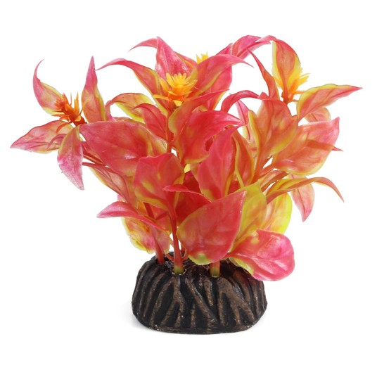 Изображение на странице