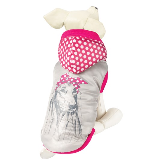 Изображение на странице