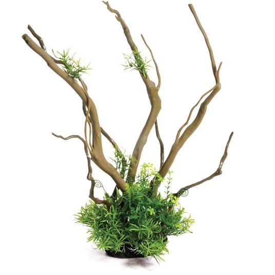 Изображение на странице