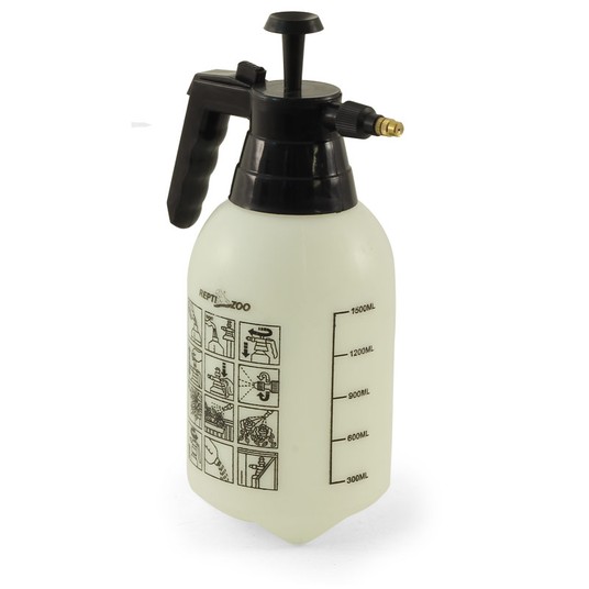 Изображение на странице