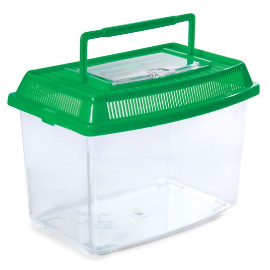 Изображение на странице