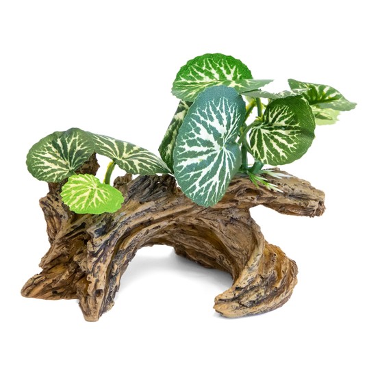 Изображение на странице