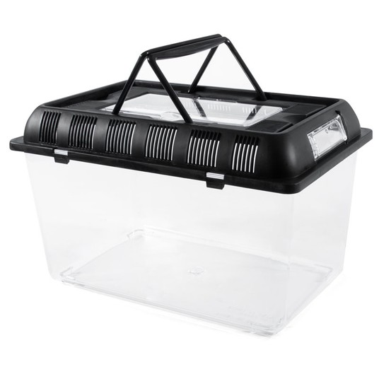 Изображение на странице