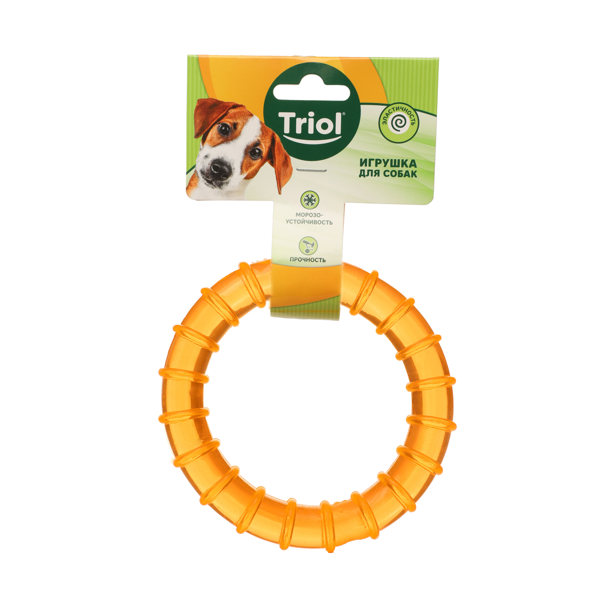 Изображение на странице