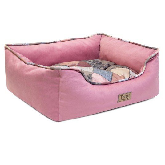 Изображение на странице