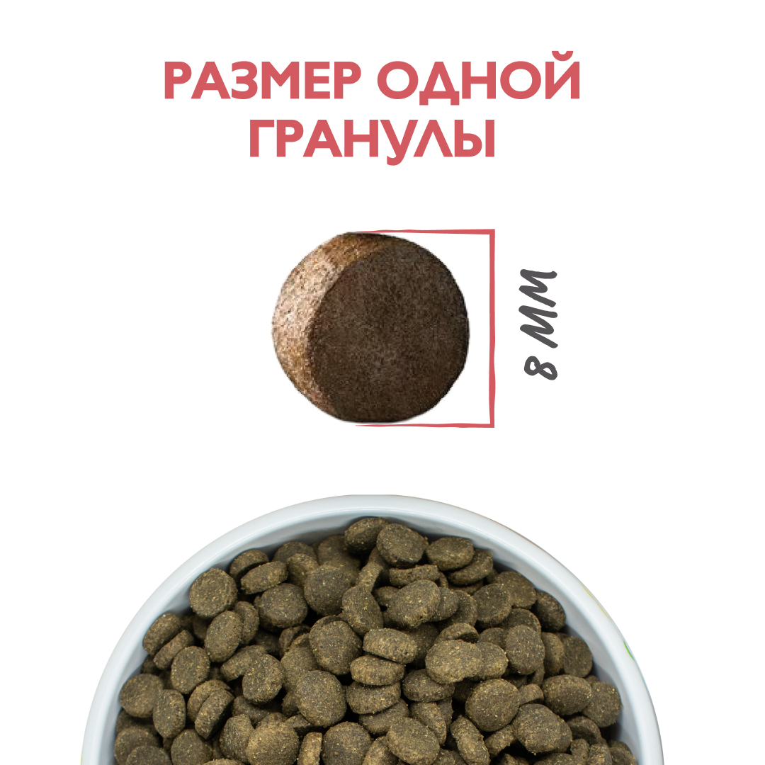 Изображение на странице