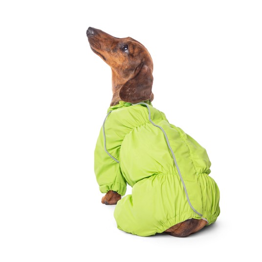 Изображение на странице