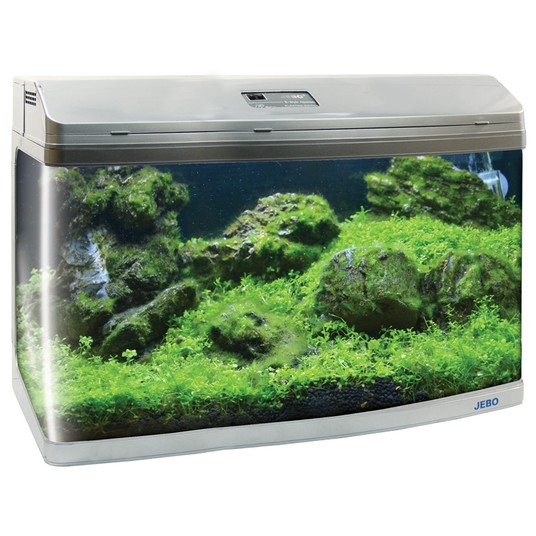 Изображение на странице