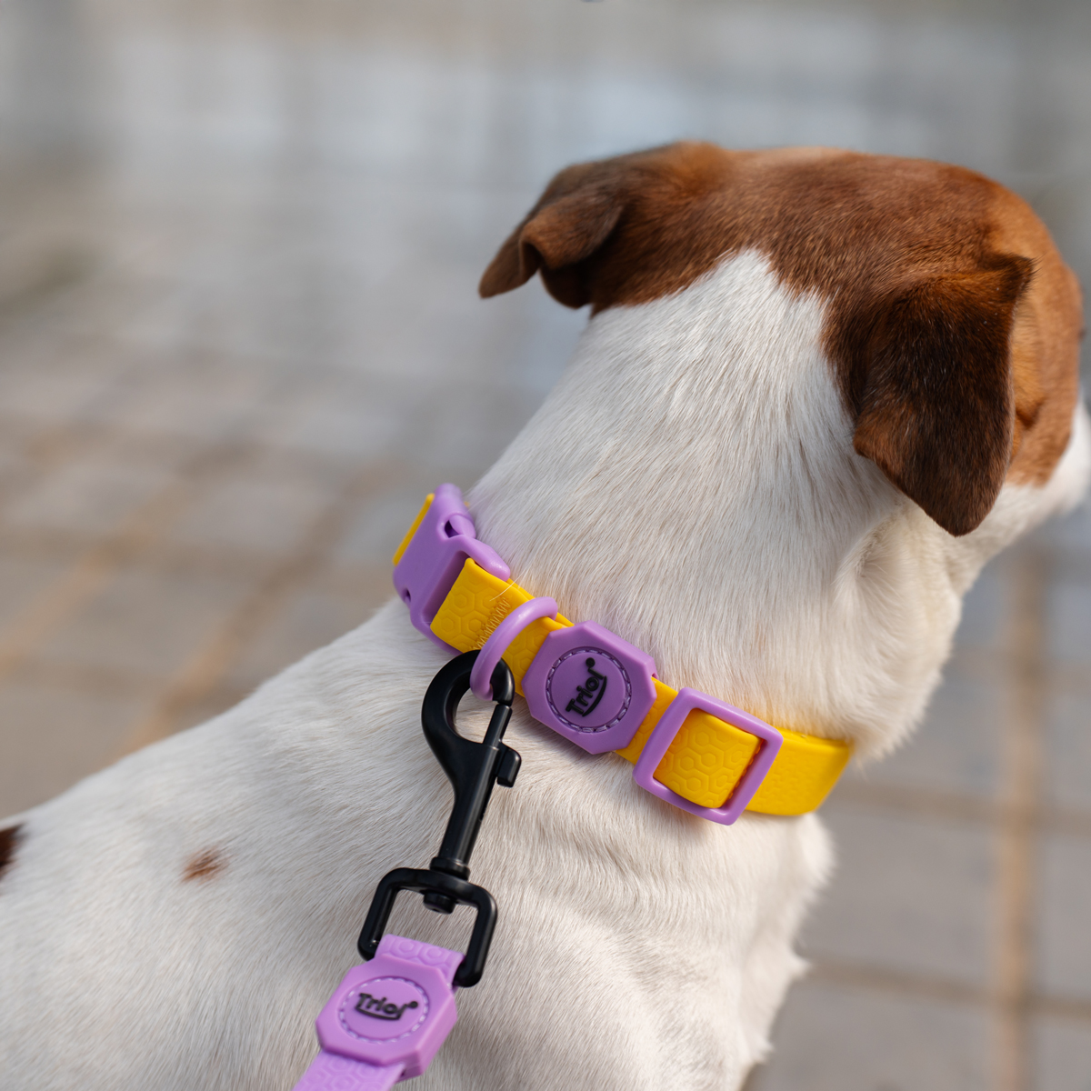 Изображение на странице