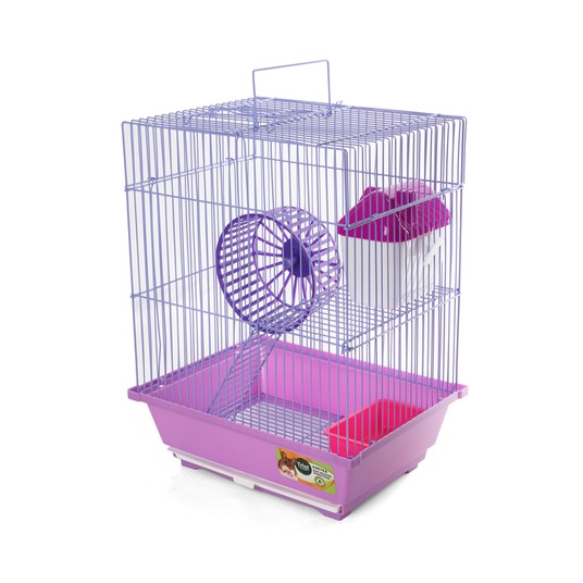 Изображение на странице