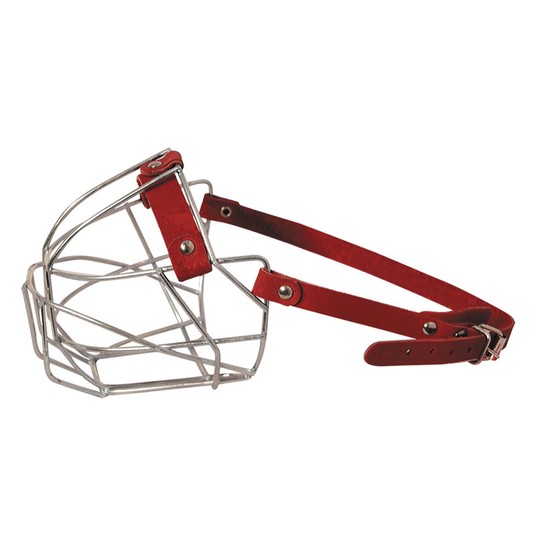 Изображение на странице