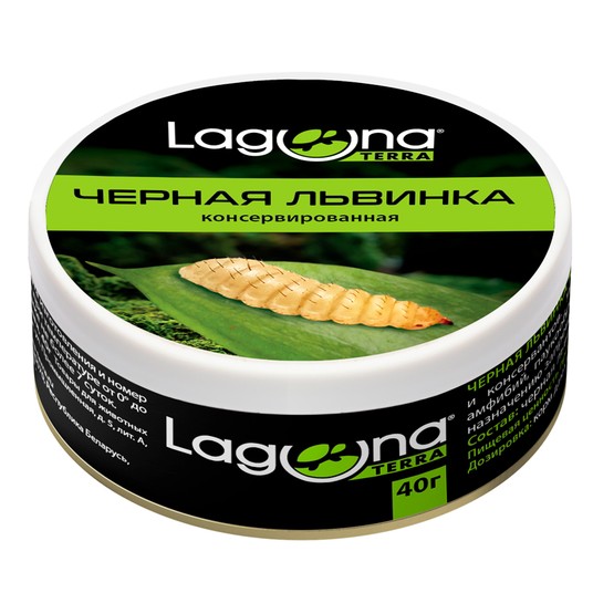 Изображение на странице