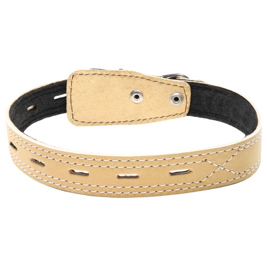 Изображение на странице