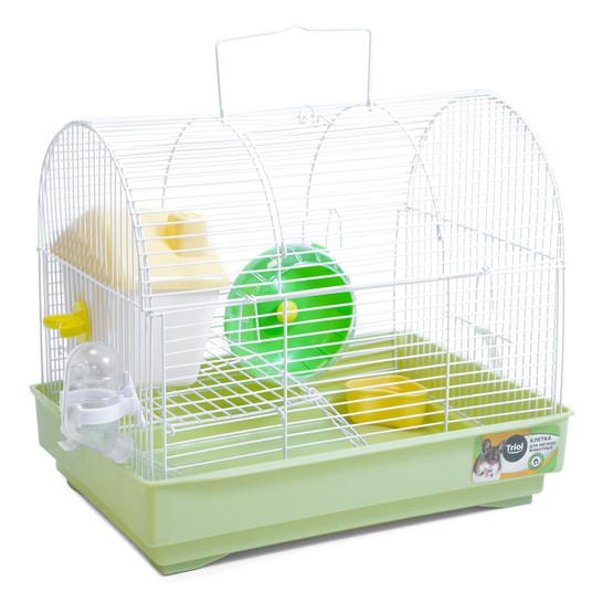 Изображение на странице