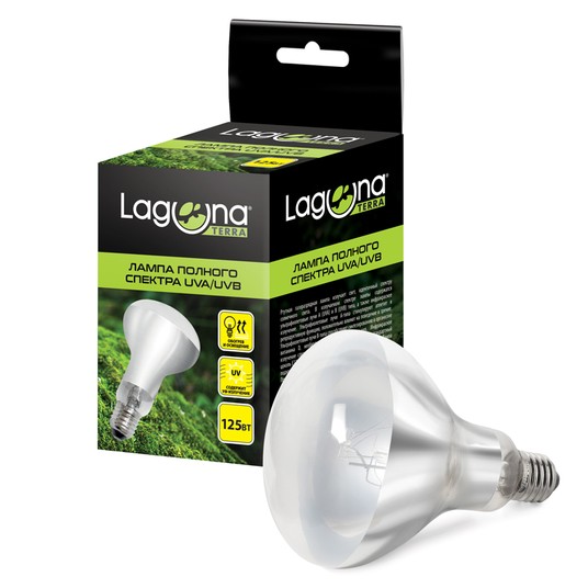 Изображение на странице