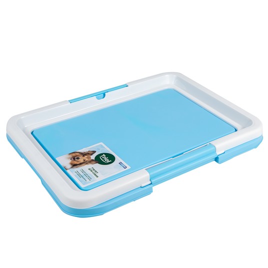 Изображение на странице