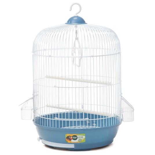 Изображение на странице