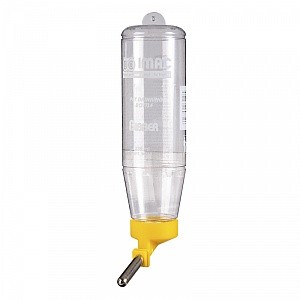 Изображение на странице