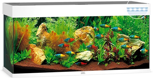 Изображение на странице