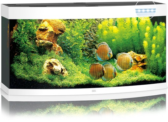 Изображение на странице