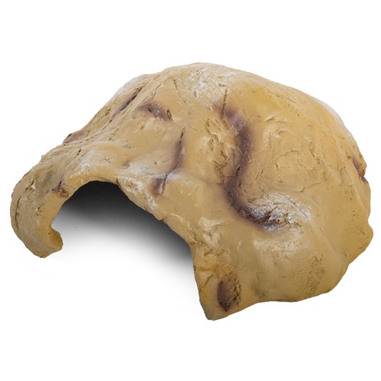 Изображение на странице