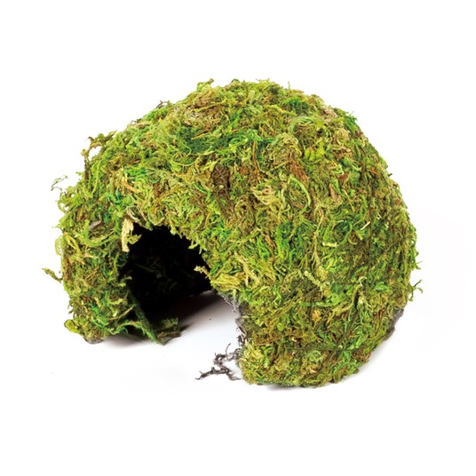 Изображение на странице