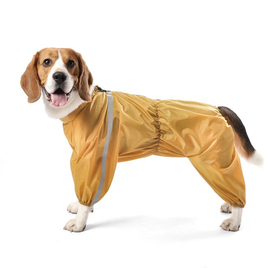 Изображение на странице